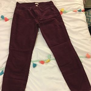 Burgundy JCrew Corduroy Pants